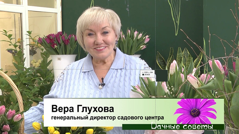 Дачные советы