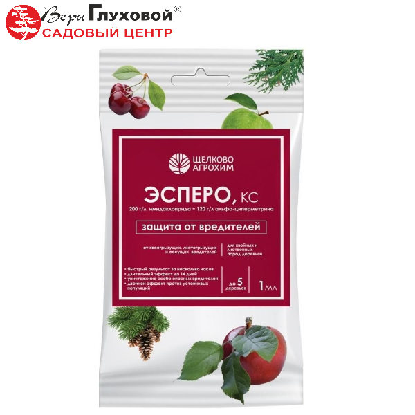 Эсперо, КС